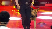 警察携年迈警犬登台，现场解救人质，太精彩了！