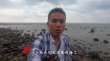 退潮后小伙带工具去赶海，这些海货都躲起来了，像是个捉迷藏似的
