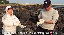 闲牛和牛嫂赶海运气爆棚，又抓螃蟹又抓大石斑鱼，这海货也太多了