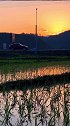 日落西山，主人下车看夕阳去了，小马在乖乖的等待