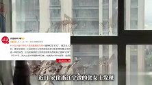 高层飘窗疑遭乌鸫“寻仇”喷粪便，住户：是家中猫咪结下的“梁子”