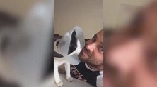 你这猫咪真是皮呢，看这下把自己玩进去了吧，真是搞笑！