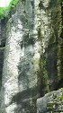 贵州贵阳喀斯特公园一石壁上发现的化石，这化石是恐龙还是蝎子