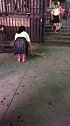 猫：肚子饿了，我在这儿要会儿小鱼干！