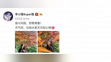 彻底决裂！被曝故地重游主动向贾乃亮示好，李小璐方晒照澄清