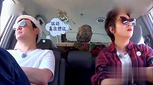 《旅途的花样》：外国司机跑错路转圈圈，情绪渐渐开始浮躁