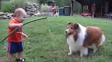 小朋友好可爱啊，一直举着水管，让小狗来喝水！