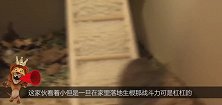 男子抓到老鼠后逼迫其抽烟，连续抽了10根烟后，男子无语了