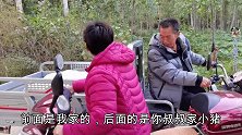 大妮帮叔叔卖小猪，装车时发生了啥？一百元不翼而飞，大妮很无奈
