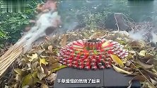 500个打火机被点燃会有多壮观小伙用干草堆助燃，过程有点美
