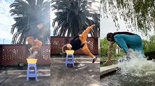 少林小子蜻蜓点水功太豪横 粉丝@张国伟：你是来搞笑的吗？