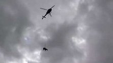瑞士：天上有牛在飞！12头受伤奶牛搭乘直升机下山