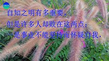 人生哲理：事业不能坚持而怀疑自我，欲望不能节制而忧郁苦恼