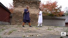 少林七星拳，少林武僧与武当传人给你展示实战技巧，少林看家拳