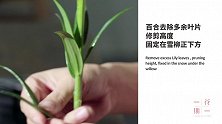你插过的花里，藏着你期待的生活插一束属于生活的花