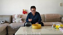 野生鱼虾螺能和孔雀鱼一起养吗？余月晓得缘由，不敢轻易下手