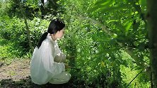 鹿碗儿教你做艾草鸡蛋
