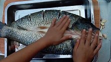教粉丝做农家碳烤鱼，先烤后煮，香辣入味太好吃了