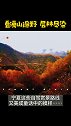 秋，正在加深林，正在变色六盘山的条条山路又变成了童话中的样子……