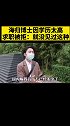海归博士因学历太高，求职被拒：就没见过这种……学历 海归 博士