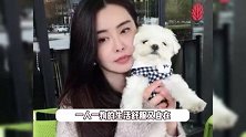王祖贤独自外出被偶遇，打扮精致美回年轻时，一人一狗生活好悠闲