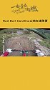 节后第一天上班，你是怎么度过的？还想念这样的骑行吗？ （奥地利红牛官方授权）极致玩家  山地车