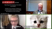 律师在远程上庭时，不小心设置了猫咪特效滤镜，眼神太可爱了！