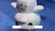 全运会吉祥物大湾鸡萌出圈，倒立蹦迪太会整活，小节目太多惊呆工作人员