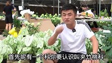 市面上好多花是有毒的，是真的吗？其实不然。花卉辟谣小科普。