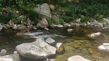 秦岭石头缝里流出来的山泉，有人开车接水泡茶，有人用它养太岁