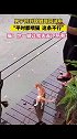 广东广州 男子钓到锦鲤踢回湖中“平时都喂猫，这条不行”锦鲤猫