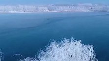真水墨画！新疆蝶湖冰冻 冰面惊现多个树状冰纹