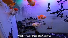 养鱼笔记第1季30集：养鱼设备的选用之加热棒