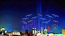 1000余架无人机赣江上空表演 组“白鹤”图惊艳观众