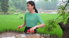 漆二娃vlog：新鲜食材做的番茄炒蛋，口感就是不一样