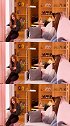 四闺女的日常生活，慵懒而又甜蜜，这就是团粉的幸福无人能懂#BLACKPINK