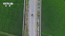 《匠心微纪录片》艾蓓怡-1