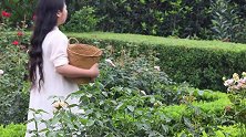 花园里就地取材，做个清甜的蓝莓蛋糕