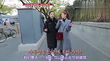 韩国艺人来北京游玩，到公园看风景，主持人说看上去像韩国的南山