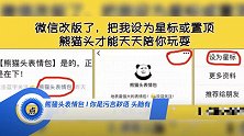 熊猫头表情包 I 你是污言秽语 头脑有病