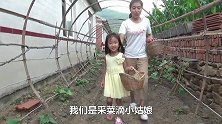自家菜园找了8样菜，做了一锅大乱炖，5口人这一个菜足够了