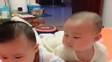 新的一天开始了，又要被这俩小子折磨的精疲力尽了