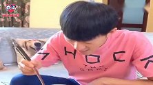 主人喝西瓜汁，哈士奇拿来了饭盆，金毛拿来“神器”，太逗了！