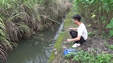 野钓：看不起眼的防洪渠，想不到也能疯狂上鱼，实在是过瘾啊