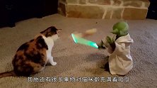 猫咪遇到蜘蛛人擦玻璃，瞬间来了兴趣，下一秒让人捧腹大笑