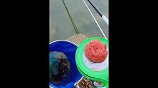 萌狮大赏 在这样的地方钓鱼，也是一种享受啊，风景真的不错！