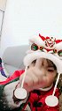 许愿家家都团团圆圆！支持投票的有机会领取腾讯视频7天VIP.