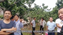 车厘子树药物控旺啥讲究？汉源种植业主传经验，大伙听得真有味