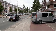 一群鹅列队横过马路，所有车辆主动为这些家伙让行