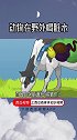 动物常年在野外喝脏水 为什么却几乎不会生病西瓜知识